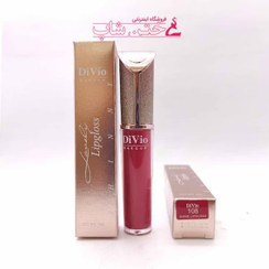 تصویر دیویو رژ مایع شاین دار شماره۱۰۸ divio liquid shine lip stick 108 