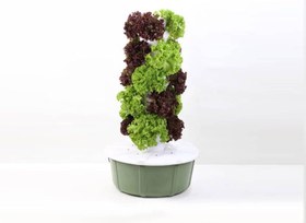 تصویر پالیستا ۹ طبقه همراه با تایمر و پمپ 