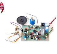 تصویر کیت فلزیاب پالسی TL12000 TL12000 Pulse Metal Detector