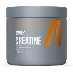 تصویر کراتین 300 گرم ویسلی Visly Creatine 300 g