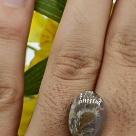 تصویر نگین شجر طبیعی کد ۱۲۰۸۰ 