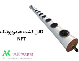 تصویر خرید سیستم هیدروپونیک NFT 