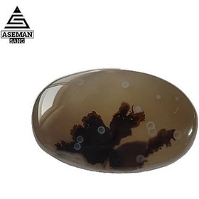 تصویر شجر S61 