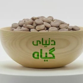 تصویر باقلا مصری 