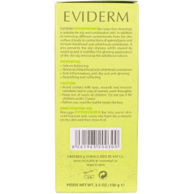 تصویر پن مناسب پوست چرب سبونورم اویدرم 100 گرم Eviderm Sebonorm Oily Skin Pain 100Gr