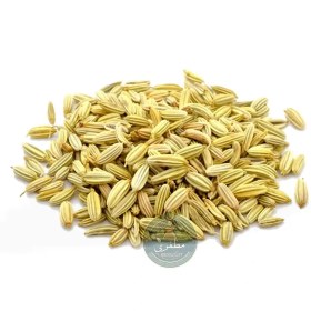 تصویر رازیانه (50 گرمی) 