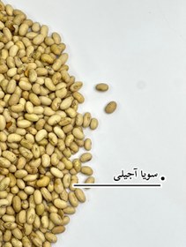 تصویر سویا آجیلی لیمویی 