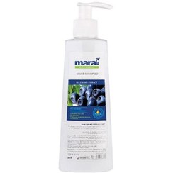 تصویر شامپو ضد زردی مو مارال حجم 200 میلی لیتر Maral Silver Shampoo 200ml