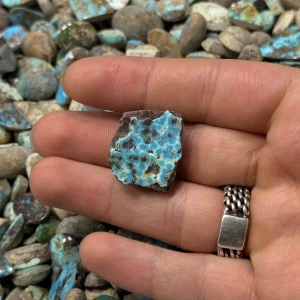 تصویر فروشگاه فیروزه خاتمی