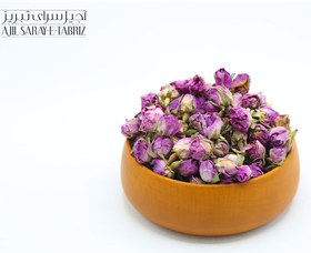 تصویر غنچه گل محمدی 