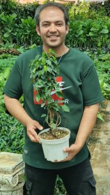 تصویر بنجامین بافت 