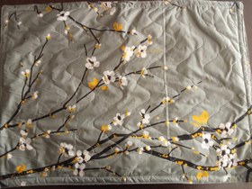 تصویر رو بالشتی 