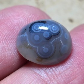 تصویر باباقوری قائن چشم و ابرو دار 