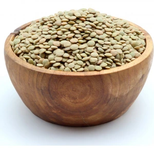 تصویر فروشگاه پالامی