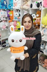 تصویر عروسک خرگوش گوش هویجی 