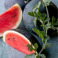 تصویر بذر هندوانه کوچک شیرین 10 عددی 