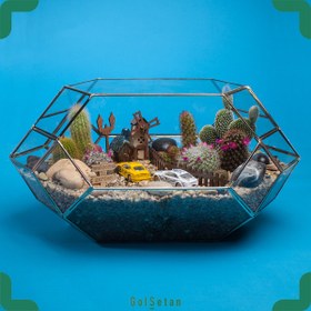 تصویر تراریوم کمند کودک 