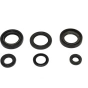 تصویر کاسه نمد کامل یاماها تریل 125 