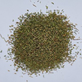 تصویر دمنوش گیاه دارویی آویشن باغی 