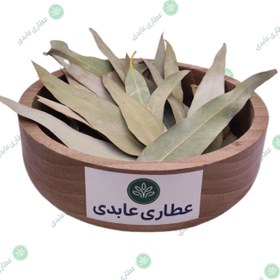 تصویر اکالیپتوس فله ای 