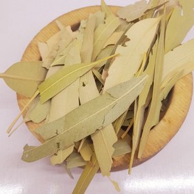 تصویر برگ‌اکالیپتوس 