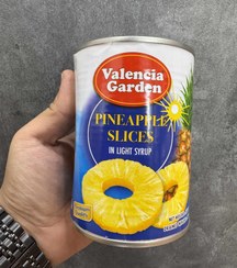 تصویر کمپوت آناناس حلقه ای والنسیا گاردن اصل تایلند وزن 565 گرم Valencia Garden pineapple ring compote, original from Thailand, weight 565 grams