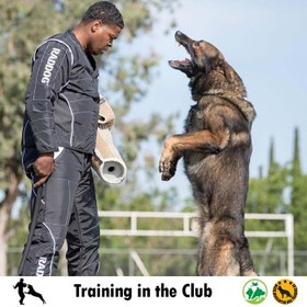 تصویر دوره آموزشی گارد ویژه سگ (در باشگاه) 
