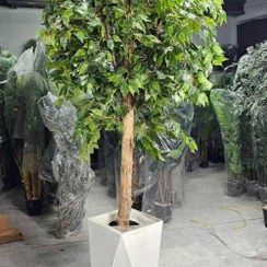 تصویر درختچه بنجامین مصنوعی 