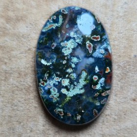 تصویر شجر چند رنگ زیبا خاص 