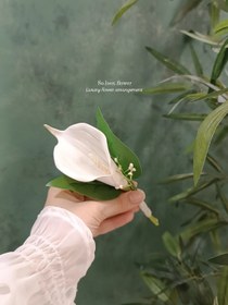 تصویر گل کت داماد شیپوری تُرک 