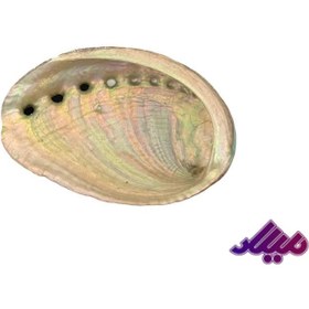 تصویر صدف کد 1170037 