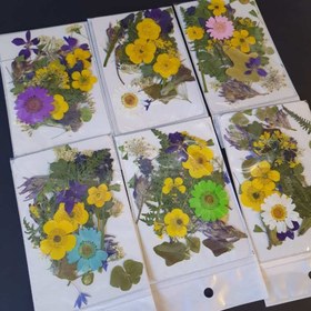 تصویر پک گل خشک 