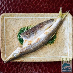 تصویر استیک ماهی کوتر (فله) 