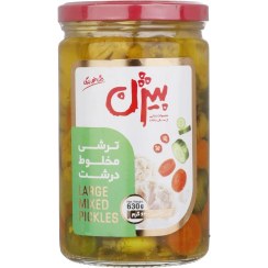 تصویر بیژن ترشی شیشه مخلوط 630 گرمی کد 1404692 