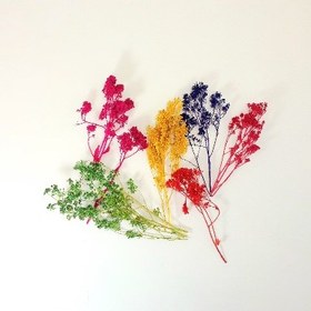 تصویر گل خشک شمع سازی 