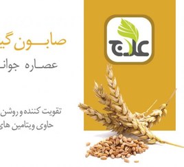 تصویر صابون جوانه گندم علاج ۱۰۰ گرم نرم کننده 