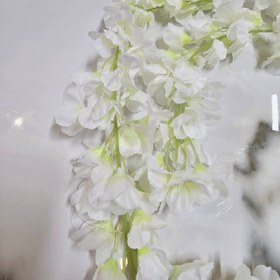 تصویر ریسه شکوفه سفید 