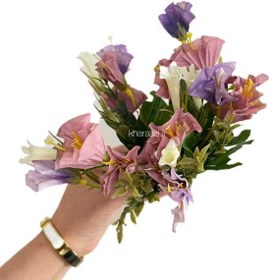 تصویر گل اطلسی 