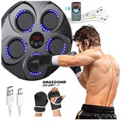 تصویر کیسه بوکس دیواری هوشمند موزیکال مدل HC-B003 