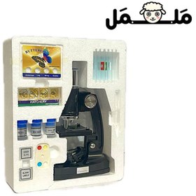 تصویر میکروسکوپ فاندل 750x 