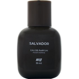 تصویر عطر جیبی مردانه نایس پاپت مدل Salvador حجم 35 میلی لیتر 