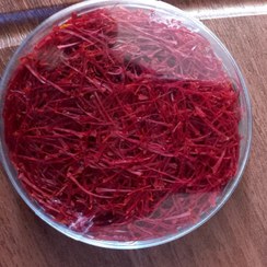 تصویر زعفران سوپر نگین صادراتی - 1 گرم saffron