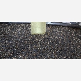 تصویر Temuchintea 