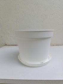 تصویر گلدون پلاستیکی پاچیرا سایز17 