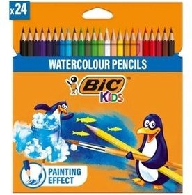 تصویر آبرنگ چند رنگ آب خشک AQUA 24 LU بیک Bic 