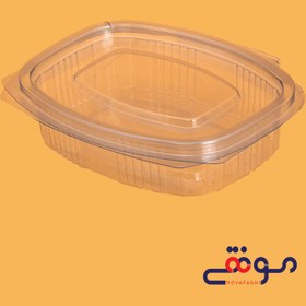 تصویر ظرف دلی کاستومر150(تعداد درکارتن300) 