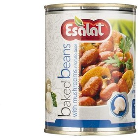 تصویر کنسرو لوبیا چیتی با قارچ اصالت – 380 گرم 