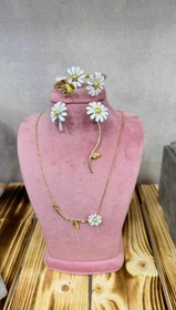 تصویر ست کامل بابونه 