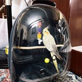 تصویر کیف حمل عروس هلندی و پرنده 