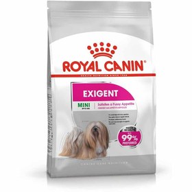تصویر غذای خشک سگ رویال کنین مینی اگزیجنت (Royal canin mini exigent dry dog food) وزن 3 کیلوگرم Royal canin mini exigent dry dog food 3kg